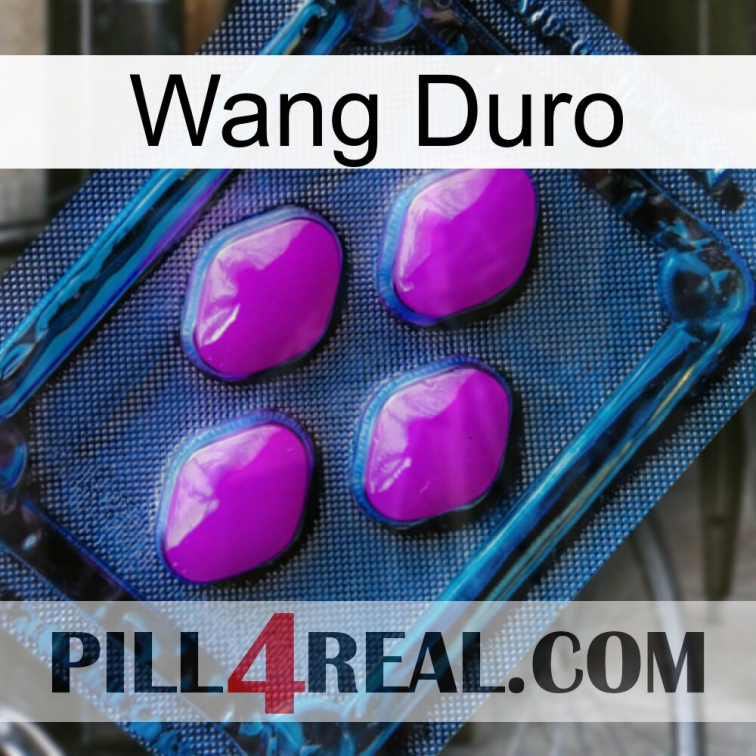 Hard Wang 04